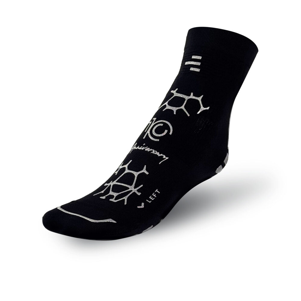 10th Anniversary - Limited Edition<br><small> Calza da Palestra</small>